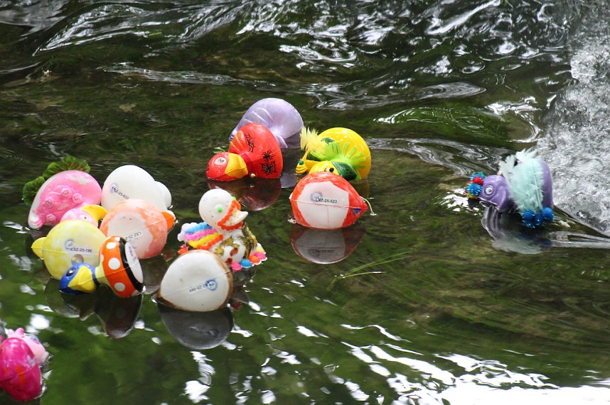 Entenrennen 2025 in Bad Langensalza 