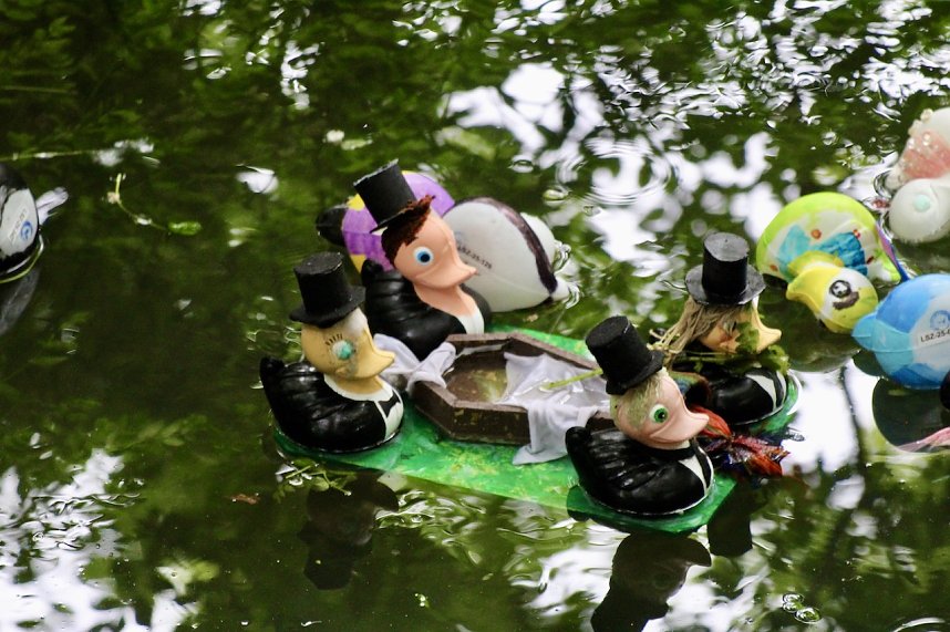 Entenrennen 2025 in Bad Langensalza 