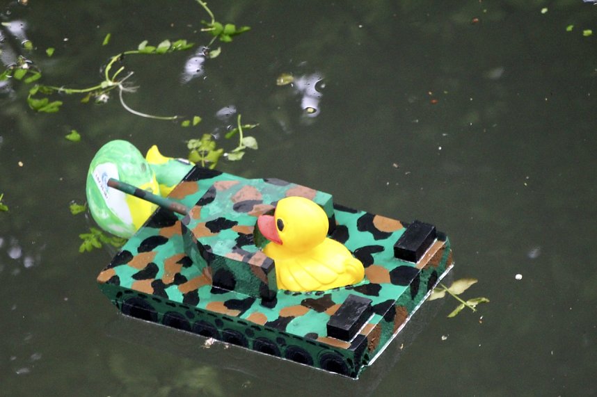 Entenrennen 2025 in Bad Langensalza 