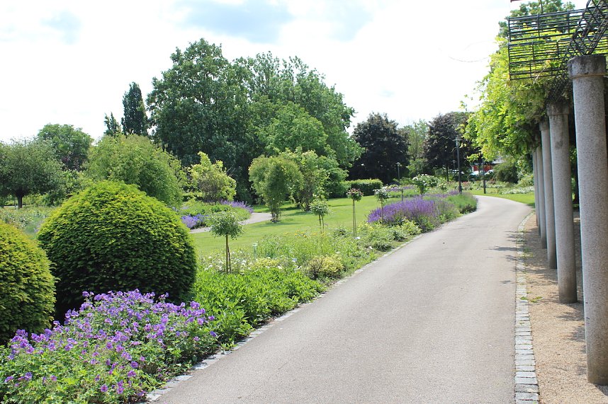 Rosenpracht in Rosengarten in Bad Langensalza