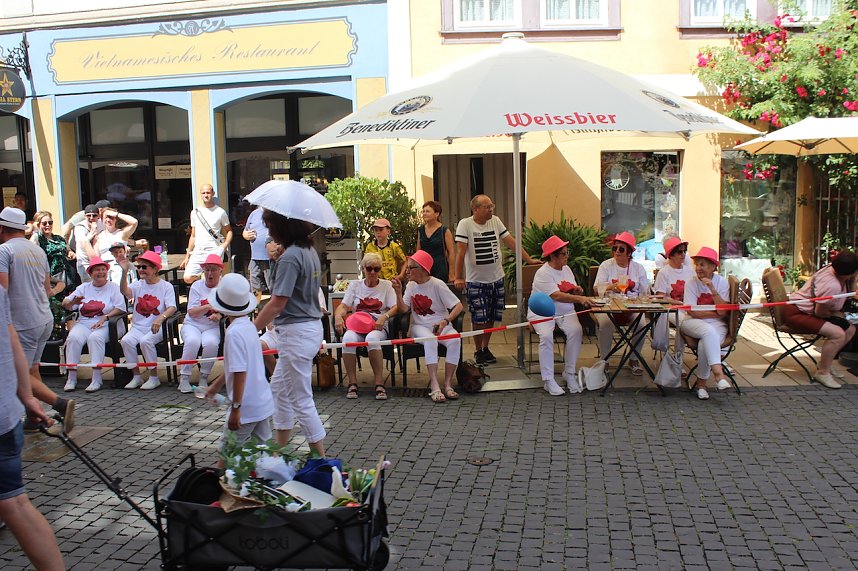 Brunnenfestumzug Bad Langensalza Teil 1
