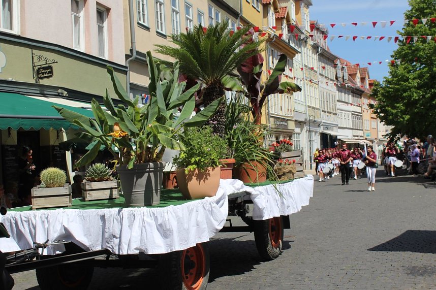 Brunnenfestumzug Bad Langensalza Teil 2