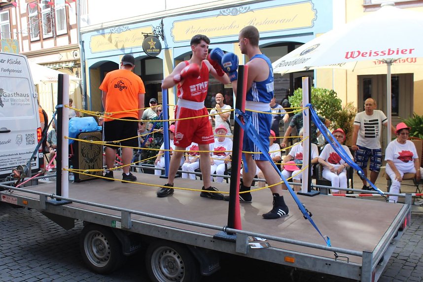 Brunnenfest 2025 in Bad Langensalza