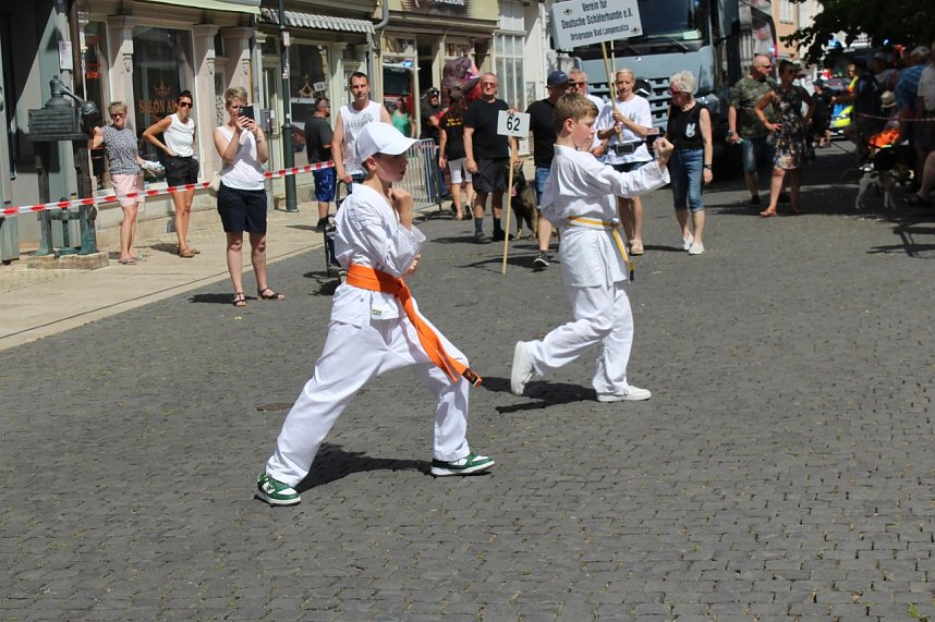 Brunnenfest 2025 in Bad Langensalza