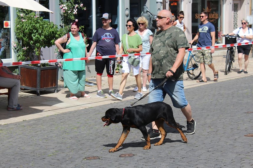 Brunnenfest 2025 in Bad Langensalza