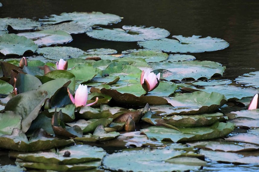 Peter Blei unterwegs im S&uuml;dharz