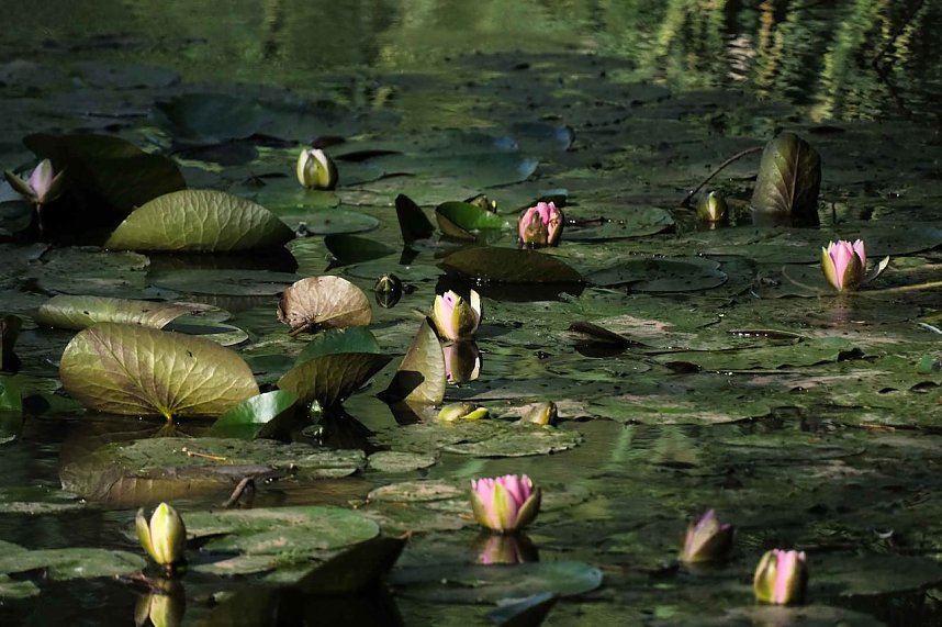 Peter Blei unterwegs im S&uuml;dharz