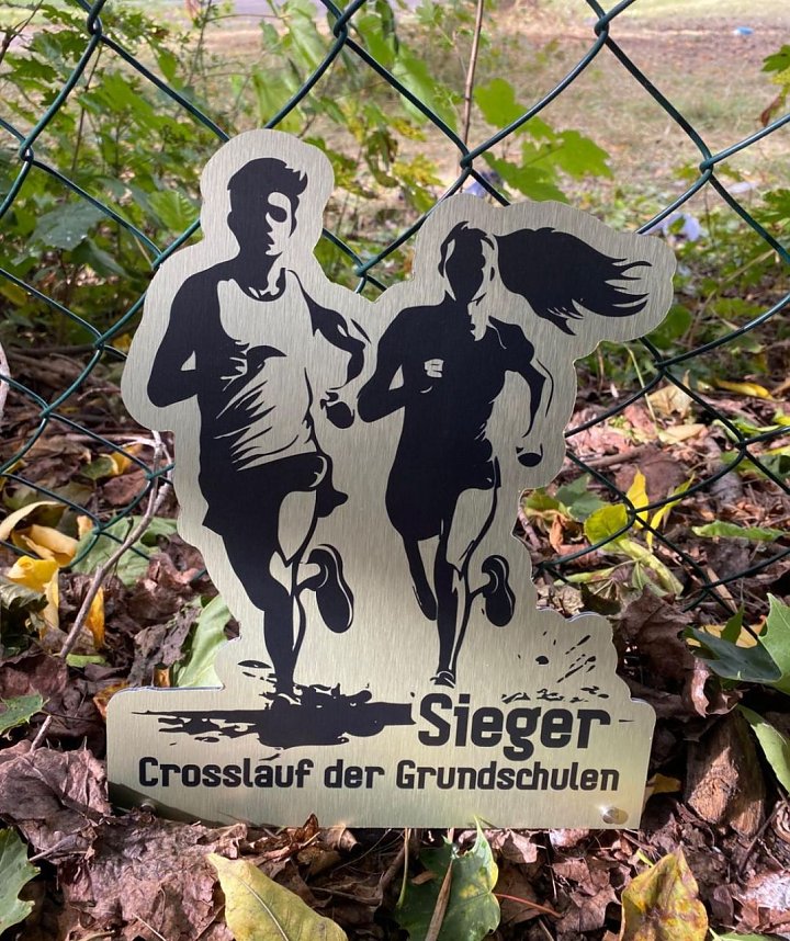 Kreis-Crosslauf auf dem J&uuml;denh&uuml;gel