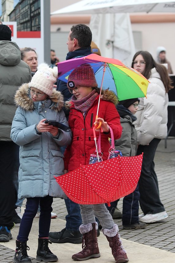 Karnevalsumzug in Bad Langensalza