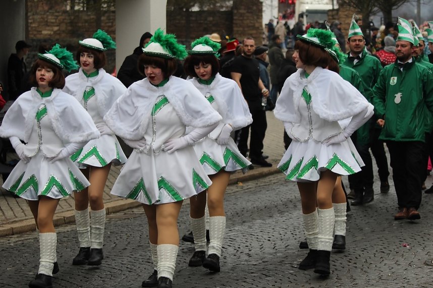 Karnevalsumzug in Bad Langensalza