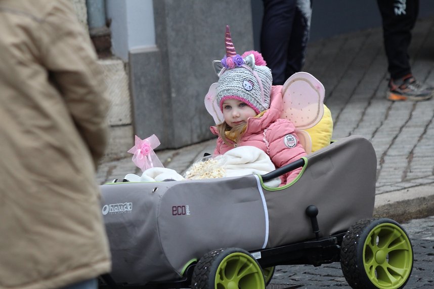 Impressionen vom Faschingsumzug in Bad Langensalza