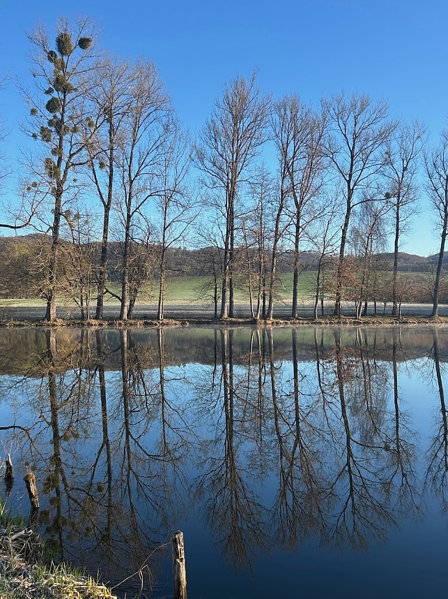 Teiche zwischen Ellrich und S&uuml;lzhayn (Foto 2-4)