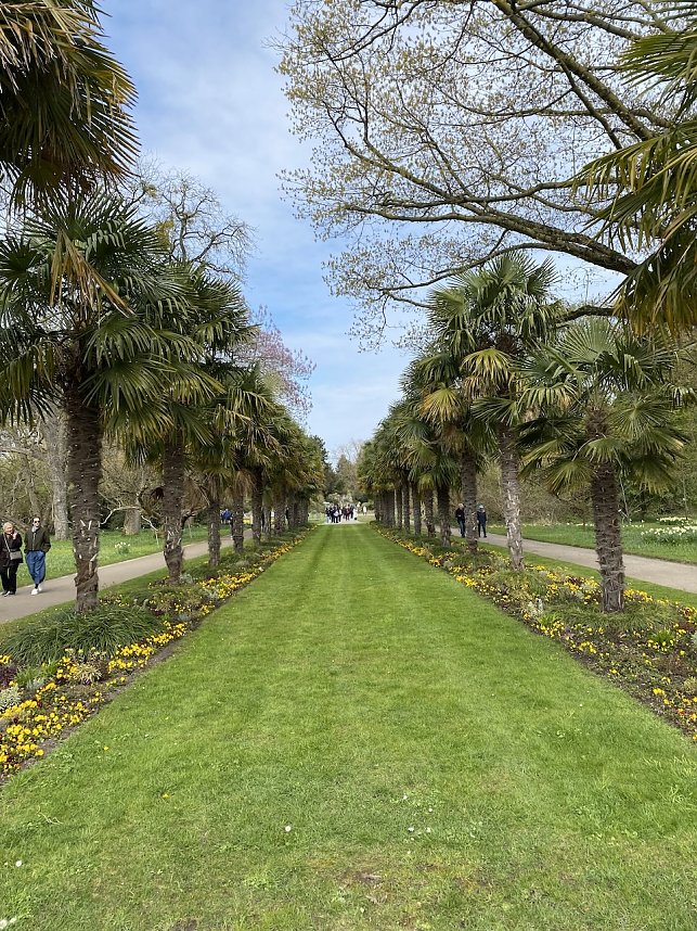 Gartenschau in K&ouml;ln